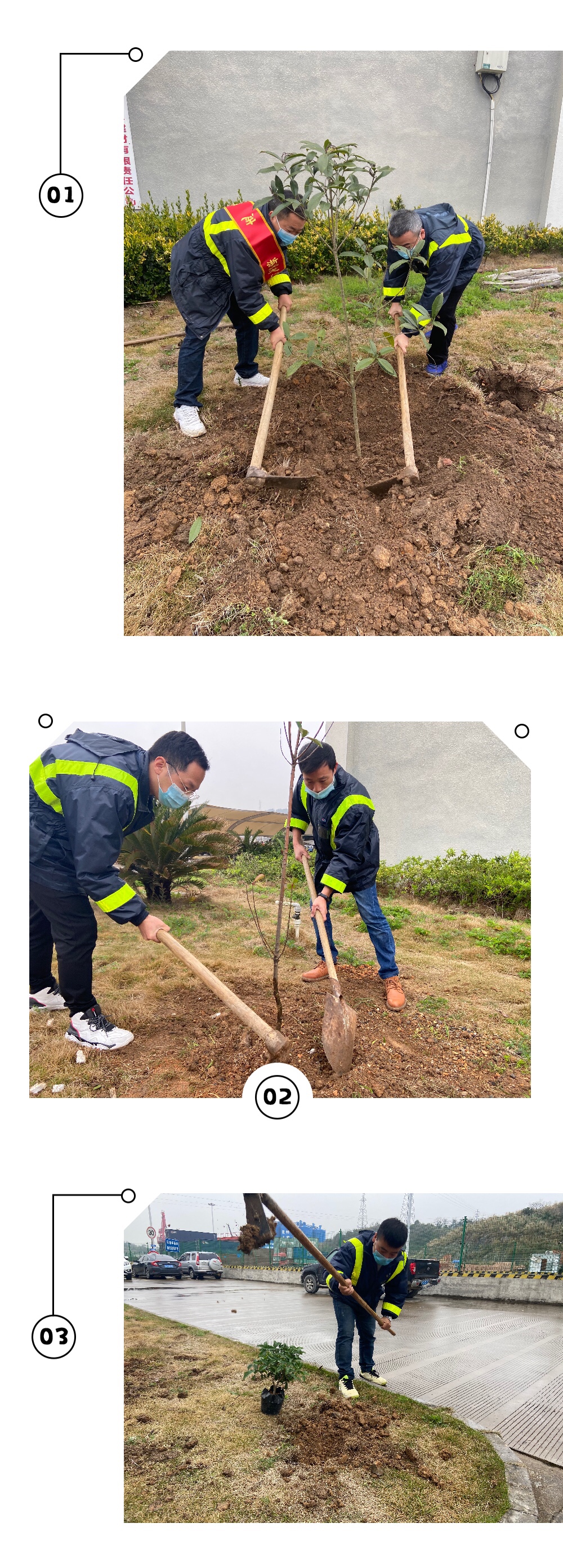 植樹(shù).jpg